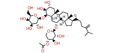 Pachastrelloside A